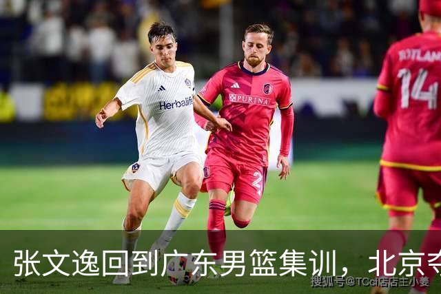 张文逸回到广东男篮集训，北京夺冠功勋确定退役，上海欲续约弗格